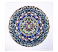 GLKFWVX Affiche Pop Damien Hirst 《Papillon Cercle 》 Art Mural Gravures Damien Hirst Peinture Damien Hirst pour la décoration intérieure 40x40cmx1 No Frame