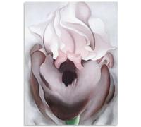 GLKFWVX Georgia OKeeffe Affiches murales à Iris Roses, Peinture Abstraite sur Toile Georgia OKeeffe Impressions pour la décoration intérieure60X80cmx1 sans Cadre