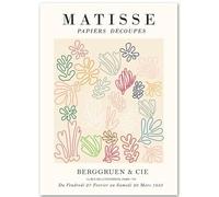 GLKFWVX Henri Matisse Art Mural Henri Matisse Affiche Corail coloré Matisse Imprime Matisse Peinture pour la décoration intérieure Photo 60x80cmx1 sans Cadre