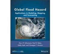 Global Flood Hazard Heiko Apel , Guy Schumann , Giuseppe Aronica , Paul Bates (Auteur)