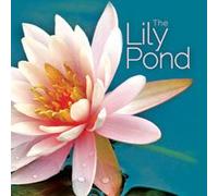Global Journey - The Lily Pond