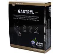 Global Medics Gastryl Sachet(S) 10x60 g
