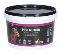 Global Medics Pro-Motion Poudre 1 kg