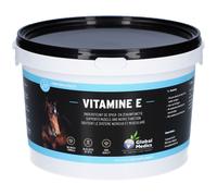 Global Medics Vitamine E Poudre 1 kg