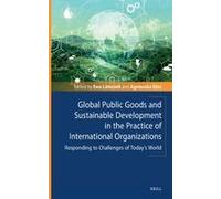 Global Public Goods And Sustainable Development In The Practice Of International Organizations