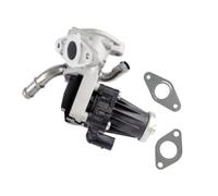 Globalautoparts Vanne EGR 1730360, 9800555380 pour Manager, pour Transit | 2.2 HDi, 2.2 TDCi, BK2Q9D475CB, BK2Q9D475CC, 0892069, 555290, 701621040, ERV110, ERV145 EGR302 EGR338 FDR383 V25630019 XEGR99