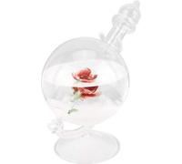 Globe de verre tempête Forme de l'eau Prévision météo Bouteille en cristal