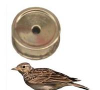 globe fishing Rappels oiseaux fischi Sifflet rappel Tordo Alouette Cesena Merlo Germano pavoncella corbeau, 13 allodola