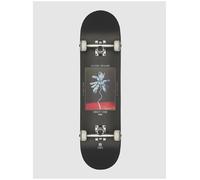 Globe G1 Palm Off 8.0" Cruiser complet à motifs Uni