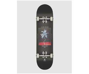 Globe G1 Palm Off 8.0" Skateboard complet à motifs Uni