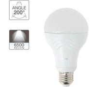 Ampoule LED A60 Globe Culot E27 - Ampoule LED E27 Angle D'Éclairage 180°- Ampoules LED 14W Équivalant 100W - Ampoule E27 LED Blanc Froid 1521 Lm - Eclairage LED Lumière Blanc Froid - ME1521GPW Xanlite