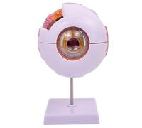 Globe oculaire, modèle oculaire agrandi 6X, modèle d'anatomie du globe agrandi en 7 parties, anatomie humaine réaliste, détachable avec support pour l'enseignement des études en classe de sc