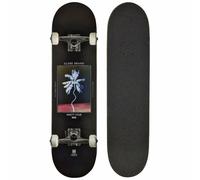 Globe Palm Off Noir 8" Planche Complète