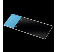 Globe Scientific Microscope Slides, 1304B, Blue Frosted, Soda Lime Glass, Ground Edges, 90° Corners, 25mm x 75mm, Pre-Cleaned, 72/Box, 1440/CS