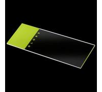 Globe Scientific Microscope Slides, 1304G, Green Frosted, Soda Lime Glass, Ground Edges, 90° Corners, 25mm x 75mm, Pre-Cleaned, 72/Box, 1440/CS