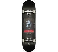 GLOBE Skateboard G1 Palm Off 8.0", Noir