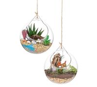 Globes de Terrarium en Verre 2pcs 3,93 Pouces Transparentes Round Gros Ouverture Suspendue en Verre Terrarium en Verre Suspendu Porte-Toile avec Longe pour décoration de fête de Mariage