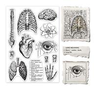 GLOBLELAND Corps Humain Organe Tampons Transparents Fond Médical Colonne Vertébrale Cerveau Cœur Poumons Silicone Transparent Timbre Joints pour la Fabrication de Cartes Journal Album Décoration