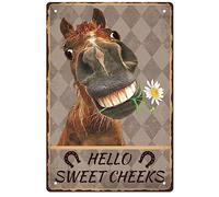 GLOBLELAND Plaque en Étain Vintage Cheval en Métal Funny Retro Hello Sweet Cheeks Décoration Murale en Métal Plaque Décorative en Étain Art Plaque Poster 8 × 12 Pouces pour la Maison