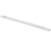 Globo G13 T8 Ampoule LED Plastique Blanc