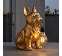 Lampe d'extérieur LED Lampe de jardin Gold Solar LED-Board IP44 23.5 cm