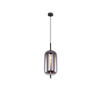 Globo Lampe suspendue Blacky noir 1 lumière - 15345H2