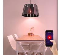 Globo Lampe Suspendue Smart RGB LED Alexa Google 1 Lumière Noir LED Dimmable