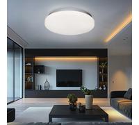 Globo LED Plafonnier Rond Opale Pour Salon Couloir Lampe Éclairage 20 W