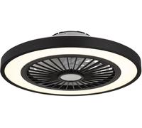 Globo Lighting Blizzak ventilateur de plafond avec lampe 1x45 W blanc-noir 03653