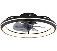 Globo Lighting Celeste plafonnier 1x40 W noir 03643
