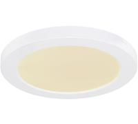 Globo Lighting Lasse plafonnier 1x18 W blanc 12379-18W