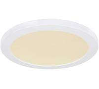 Plafonnier Lampe de salon Lampe de table à manger à intensité variable LED 24 watts CCT blanc opale