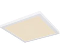 Plafonnier Ampoule Lumière de Jour Plafonnier Panneau LED Couloir Blanc L 29,1cm