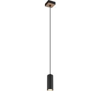 Globo Lighting Robby lampe suspendue 1x35 W noir-bois 57911HBW