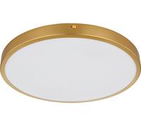 Globo Lighting Tibey plafonnier 1x22 W laiton 12381-22