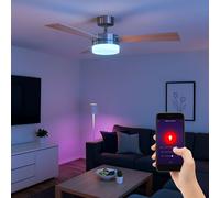 Application de ventilateur de lampe de refroidisseur de chambre de ventilateur de plafond TÉLÉCOMMANDE Google dans un ensemble comprenant des lampes LED RVB