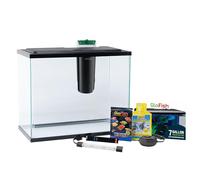 GloFish Kit de démarrage pour Aquarium, 20 litres, Comprend des lumières LED Bleues et Blanches, Un Filtre Tetra Whisper Bio-Bag et Un thermomètre