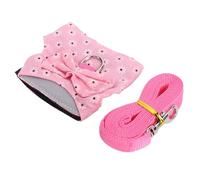 GLOGLOW Ensemble Harnais et Laisse pour Lapin, Gilet rembourré Doux Anti-évasion avec Double Boucles de sécurité pour Lapins, Cochons d'Inde, Furets, Chinchillas (L)