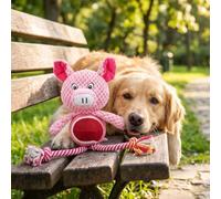 GLOGLOW Jouet Grinçant en Peluche avec Nœud de Corde pour Chiens, Jouet à Mâcher pour Chiot de Dentition de 20 Cm, Soulagement de l'anxiété en Polyester, Soins Dentaires à Double Texture, pour la
