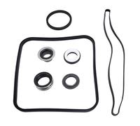 GLOGLOW Kit de réparation de joint torique pour pompe de piscine SPX1600TRA