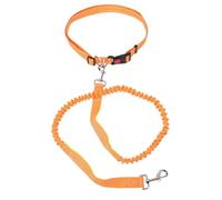 GLOGLOW Laisse pour Chien Absorbant Les Chocs, Anti-Traction, Réfléchissante, Extensible, avec Double Conception élastique et Anneau en D pour L'entraînement à la Marche et à la Course (Orange Vert)