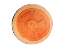 Glomora Oreiller Rond en Bois d'arbre 3D, Coussin Décoratif, Siège Unique pour Canapé, Canapé, Chambre à Coucher - Design Réaliste