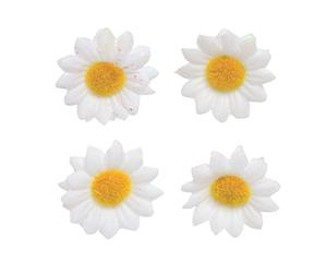 Glorex 6 3803 594 - Fleurs de marguerites, blanc D=20mm / 18pcs