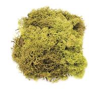 Glorex 6 3803 605 Mousse Vert Clair 50g