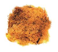 Glorex 6 3803 609 Mousse Orange 50g