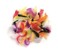 GLOREX 6 3821 029" Jouet en Forme de Plumes Multicolores