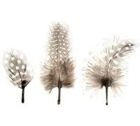 Glorex 6 3823 002 - Plumes déco env.15pcs mix