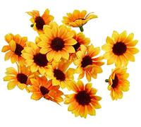 Glorex GmbH GLOREX 6 3803 593 - Soleil pétales de Fleur Lot de 15, env. 30-35 mm, Jaune