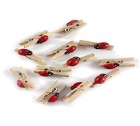 GLOREX Mini Pinces à Linge en Bois Multicolore 11 x 5,6 x 1 cm 12 unités