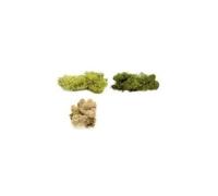 Glorex mousse dislande, 50 g, vert foncé 63803606